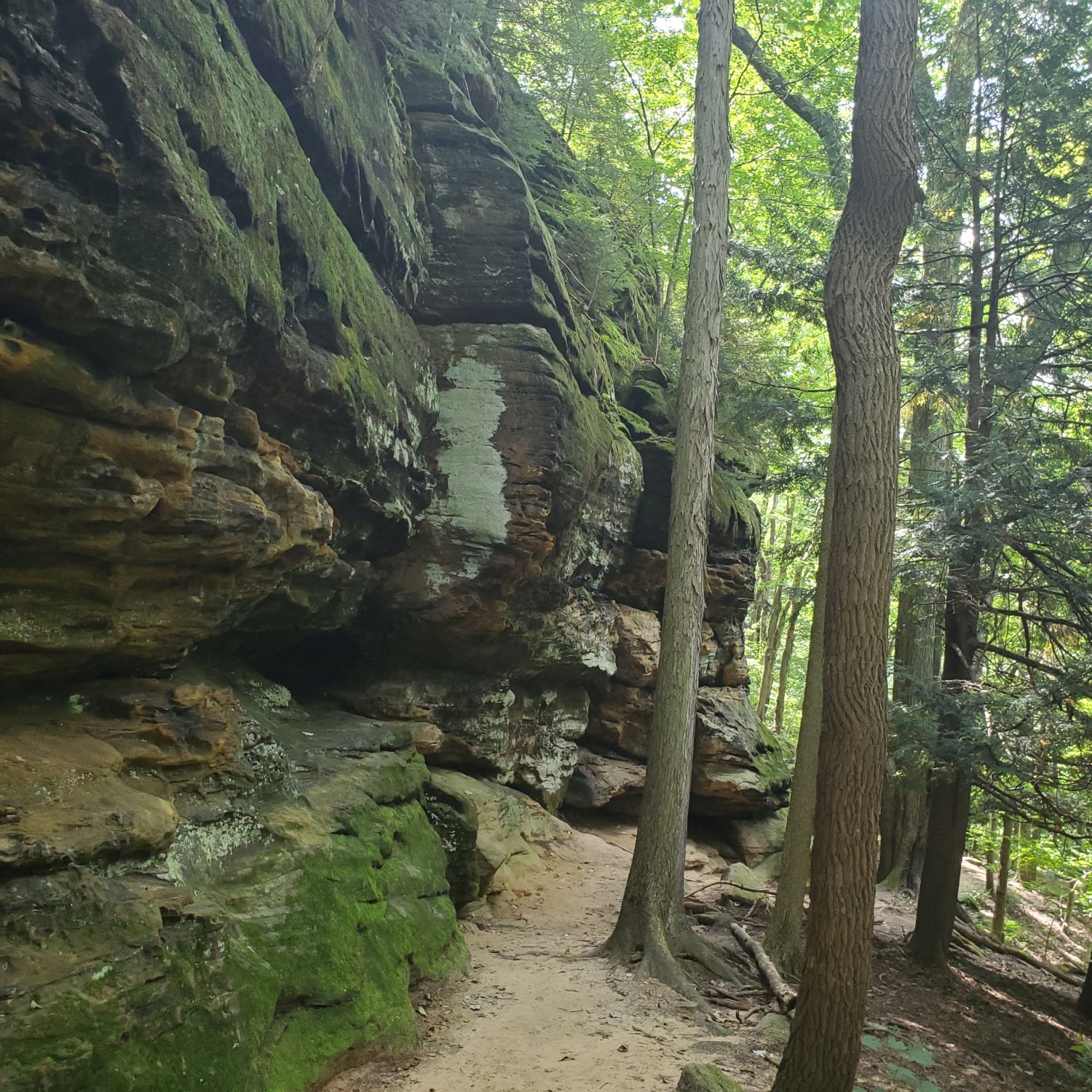 Ledges and Pine Grove Trails 